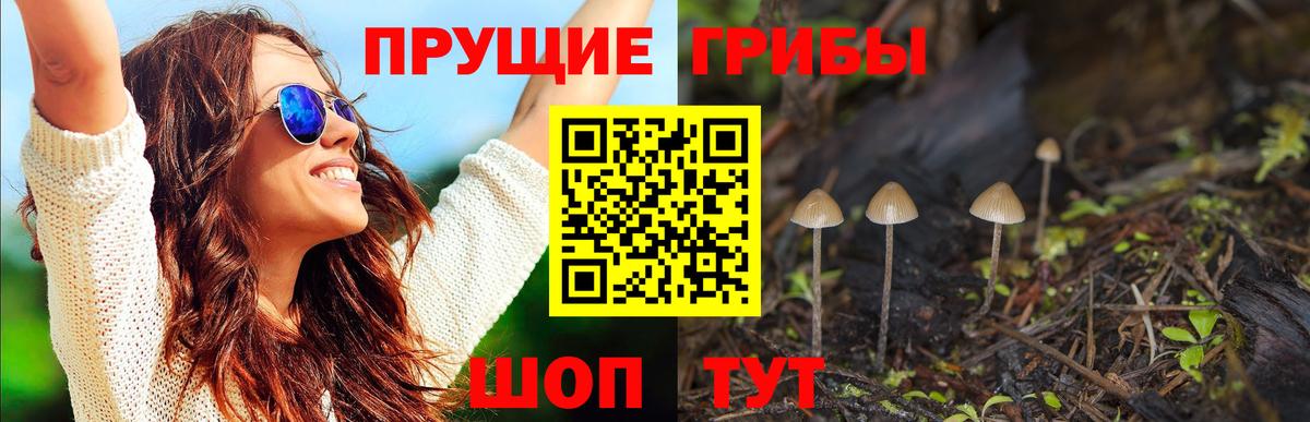 Галлюциногенные грибы Psilocybine cubensis  Галлюциногенные грибы ЛСД  Железногорск  Вход с VPN 